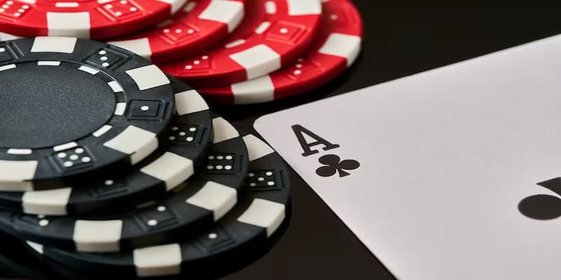 Bạn Cần Biết Khi Tham Gia 77Bet